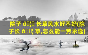 院子 🦈 长草风水好不好(院子长 🐦 草,怎么能一劳永逸)